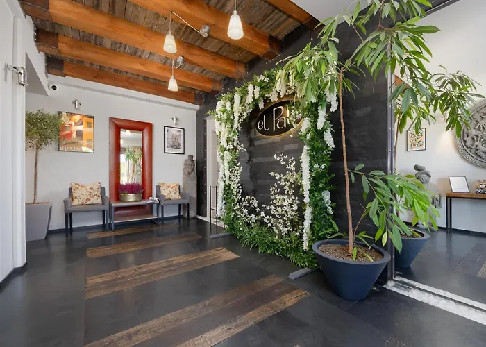 Kremowa By Solarento Warsaw